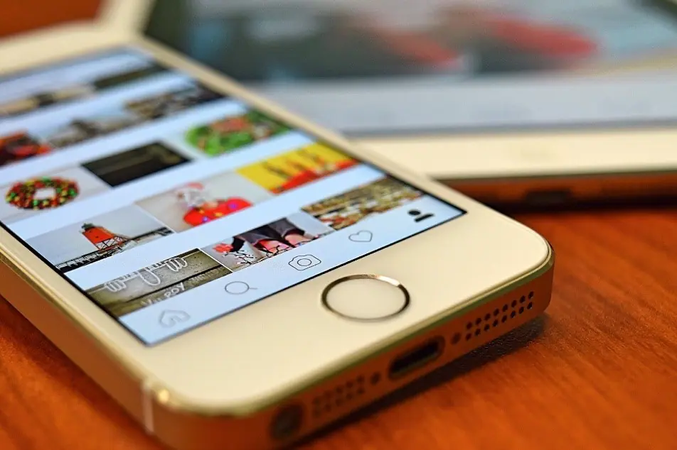 Feed instagram