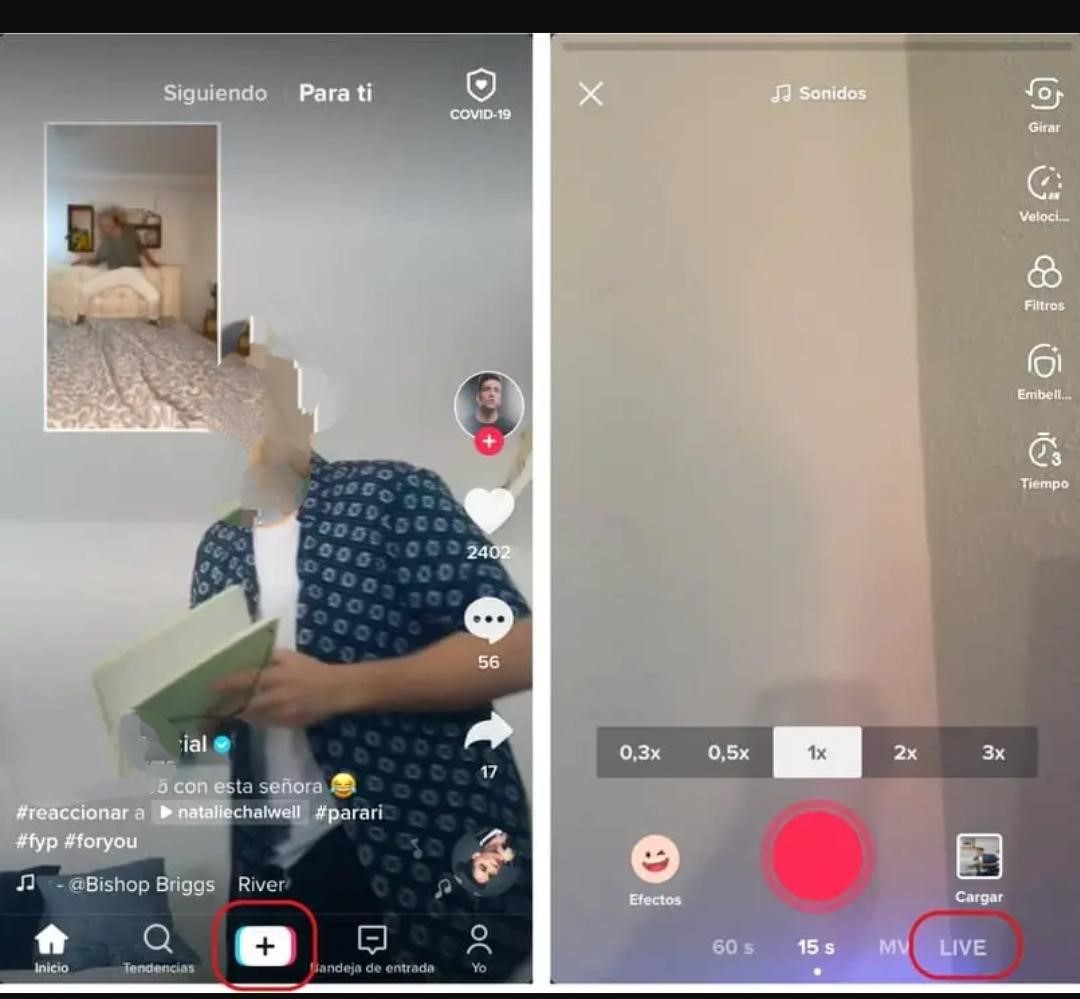 Como hacer una transmision en vivo en TikTok